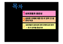 음란물 규제와 표현의 자유-2