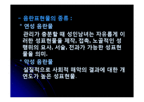 음란물 규제와 표현의 자유-8