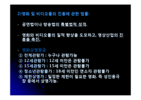 음란물 규제와 표현의 자유-19