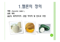 [채소학총론] 멜론-4