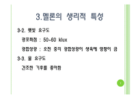 [채소학총론] 멜론-7