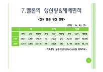 [채소학총론] 멜론-17