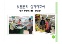 [채소학총론] 멜론-20