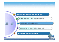 [현대사회와행정] 청계천 복원사업에 관한 고찰-2