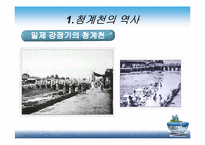 [현대사회와행정] 청계천 복원사업에 관한 고찰-6