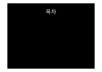 [중국특색사회주의] 문화대혁명-2