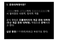 [중국특색사회주의] 문화대혁명-6