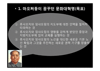 [중국특색사회주의] 문화대혁명-15