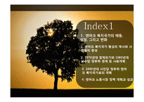 [사회복지발달사] 덴마크의 사회복지-2