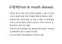구제역의 정의와 그 발생기전-2