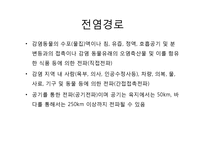 구제역의 정의와 그 발생기전-6