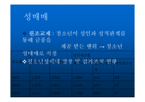 [청소년상담] 청소년 성문제의 이해와 상담-14