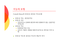 [심리검사] 지능이론과 지능검사-17