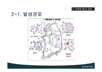 [환경정책론] 구제역에대한 고찰-7