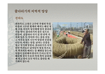 세시풍속의 지역별 양상-8