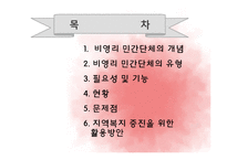 [지역사회복지론] 비영리민간단체의 현황과 문제점 및 지역복지 증진을 위한 활용방안-2