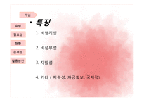 [지역사회복지론] 비영리민간단체의 현황과 문제점 및 지역복지 증진을 위한 활용방안-4