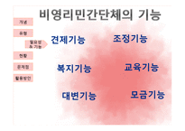 [지역사회복지론] 비영리민간단체의 현황과 문제점 및 지역복지 증진을 위한 활용방안-11
