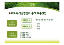 [산림생물] 노지묘와 용기묘의 생장 비교-4