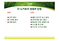 [산림생물] 노지묘와 용기묘의 생장 비교-5