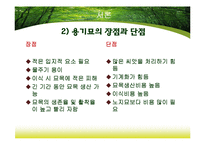 [산림생물] 노지묘와 용기묘의 생장 비교-6