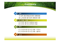 [산림생물] 노지묘와 용기묘의 생장 비교-7