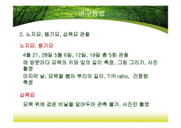 [산림생물] 노지묘와 용기묘의 생장 비교-9