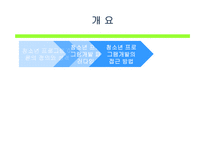 [프로그램개발과평가] 청소년프로그램 개발의 이론-2
