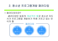[프로그램개발과평가] 청소년프로그램 개발의 이론-6