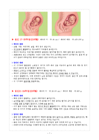 [성인간호학] 산모 출산교육-7