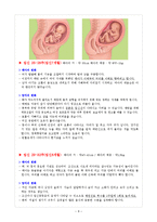 [성인간호학] 산모 출산교육-8