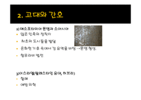 [간호학개론] 간호의 역사-8