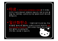 [정신건강론] 금연 자가진단 프로그램(폐암 위험 요인 평가)-10