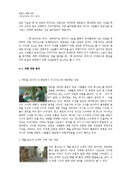 책읽어 주는 여자 작품 분석-14