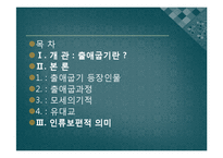 [기독교의이해] 출애굽기-2