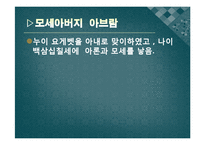 [기독교의이해] 출애굽기-7