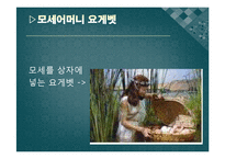 [기독교의이해] 출애굽기-9