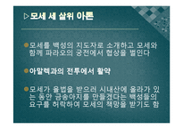 [기독교의이해] 출애굽기-11