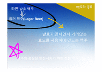 [식품미생물학] 맥주 효모(Brewer\`s Yeast)-7