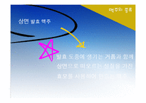 [식품미생물학] 맥주 효모(Brewer\`s Yeast)-8