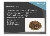 [식품미생물학] 맥주 효모(Brewer\`s Yeast)-13