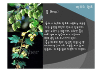 [식품미생물학] 맥주 효모(Brewer\`s Yeast)-15
