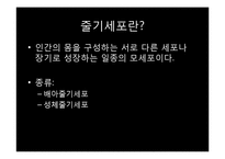 [생명과학의이해] 줄기세포(Stem cell)-3
