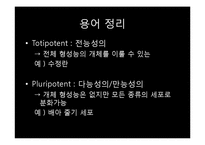 [생명과학의이해] 줄기세포(Stem cell)-4