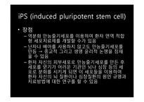 [생명과학의이해] 줄기세포(Stem cell)-11