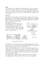[식품미생물학] 맥주 효모(Brewer\`s Yeast)-8