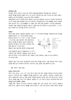 [식품미생물학] 맥주 효모(Brewer\`s Yeast)-9