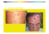 온존층에 대한 이해와 파괴의 원인과 대응방안-8