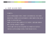 온존층에 대한 이해와 파괴의 원인과 대응방안-17