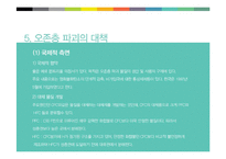 온존층에 대한 이해와 파괴의 원인과 대응방안-19